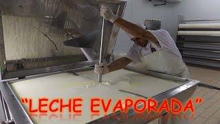 LA LECHE EVAPORADA | ProcesosProductivos