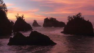 The Untamed Coast - (Oregon Coast Cinematic Aerial Drone Film)