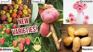 Exciting NEW Varieties To Plant In 2025 | MIgardener, Johnny's Seeds, Baker Creek, Stark Bros