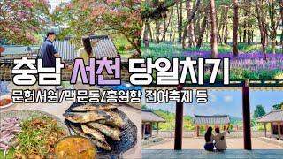 서천여행 당일치기코스! 꽃도 보고 가을전어도 먹고! (문헌서원/한옥카페/신성리갈대밭/장항맥문동/홍원항 꽃게전어축제)