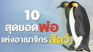 10 สุดยอดพ่อในอาณาจักรสัตว์