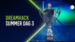 Dreamhack Summer 2024  - Dag 3