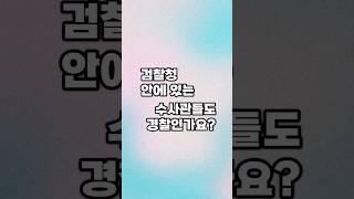검찰청 안에 있는 수사관들도 경찰인가요?