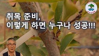 취목 준비, 이렇게 하면 누구나 성공!!!