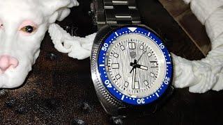 watch dives WD6105, Willard.