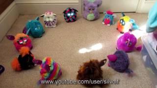 No More Mama! Huge Furby Conversation