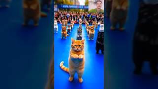 Sundar goriya sacho singar mangat hai #cat #shorts #dance #bhojpuri #lovecats #shortsfeed #catlovers
