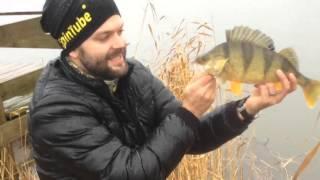 Perch fishing with Spintube