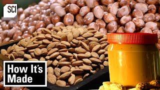 How Peanut Butter, Walnuts, Almonds & More Are Made! | How It’s Made | Science Channel