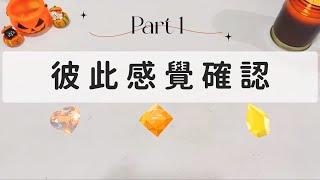 彼此感覺確認Part 1「無時間限制」｜塔羅占卜+占卜小物｜Ora Tarot