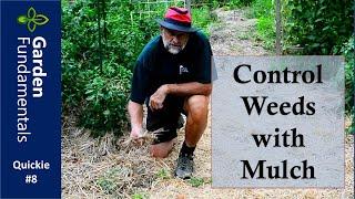 Control Weeds With Mulch ️ See the difference with and without mulch