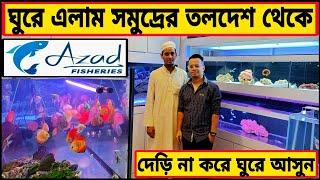 aquarium price in Bangladesh।aquarium fish price katabon।aquarium fish price in Bangladesh।aquarium