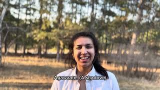 Agawaate = A shadow (Ojibwe Word of the Day)