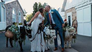 Stunning Fort Collins Colorado Wedding Highlights | McKenna & Matt's Celebration | DB Films