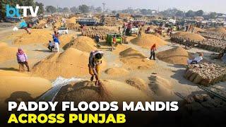 Paddy Overflow at Punjab Mandis: Farmers Call for Immediate Government Intervention