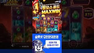 Pragmatic SLOT - [프라그마틱][슬롯실시간] 맘모스 골드 메가웨이즈 - Mammoth Gold Megaways [온라인슬롯][슬롯라이브]