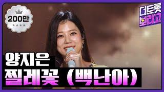 양지은, 찔레꽃 (백난아) | THE 트롯SHOW 220910