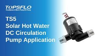 Solar 12 to 24 v Mini Submersible pump | Hot water Circulation Pump