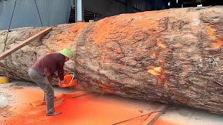 The World's Largest Wood Processing Factory // Super Giant Monster From The Black Continent