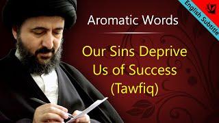 Our Sins Deprive Us of Success (Tawfiq) - Ayatollah Sayed Mohammad Redha Shirazi