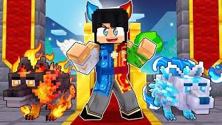 P3DRU é o REI LOBO ELEMENTAL no Minecraft