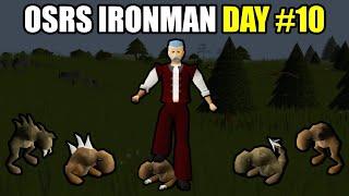 This Is DAY 10 of Playing an IRONMAN on OSRS