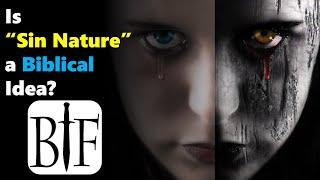 Is "Sin Nature" a Biblical Idea?