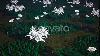 White Flowers Meadow 4k | Motion Graphics - Videohive template