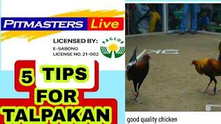 talpakan tips and tricks|pet Master TEPS|online sabong tips international sabong tips|