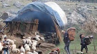 Traditional Mountain village shepherd Life in Nepali people's Hard working And Most Beautiful Life..