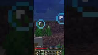 Bee?? #shorts #minecraft #mrrabbit