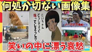 【爆笑】共感必至！笑ってはいけない？何処か切ない画像集/ガルちゃん選抜/2chスレ/ゆっくり