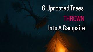 Campers Have 6 Trees Uprooted And Thrown At Them, One Man Has Leg Broken