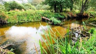 Моё 12-часовое приключение на ЛЕСНОЙ РЕКЕ. Подводная съёмка. Прозрачная вода.