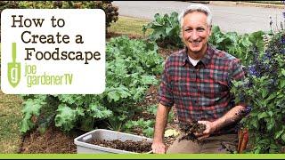 Edible Landscaping - How to Create a Foodscape