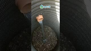 Станция биологической очистки для частного дома. #септик
