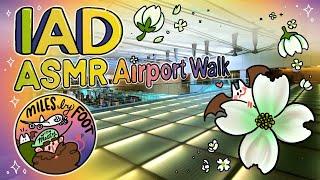 The Ultimate ASMR Airport Walk - Washington Dulles International Airport - All Gates and Terminals!