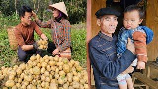 Harvesting potatoes with husband: Preparing delicious dishes - Building happiness with grandfather