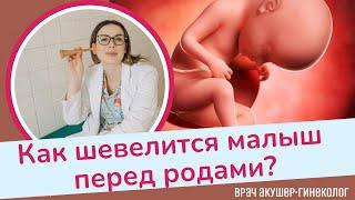 Шевеление плода перед родами | Виктория Матвиенко