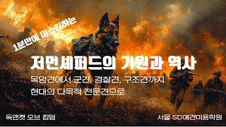 목양견에서 군견, 경찰견, 구조견까지 현대의 다목적 전문견으로. 저먼셰퍼드의 기원과 역사, 현대에서의 역할. 1분만에 마스터하기!