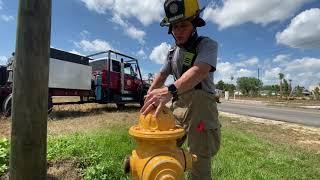 Kid's Corner  - Fire Hydrants