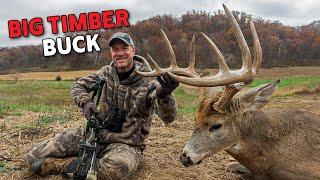 Big Timber Buck - Cruising Buck Action | Bowhunting Whitetails w/ Bill Winke