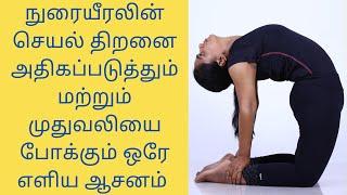 10 mins asana tat will help increase your lung capacity and reduce Back Pain in Tamil By Dr.Lakshmi