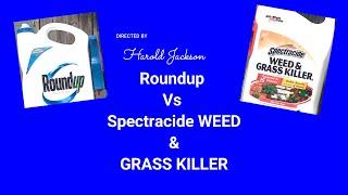 Roundup Vs Spectracide WEED & GRASS KILLER