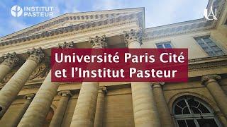 Université Paris Cité et l'Institut Pasteur