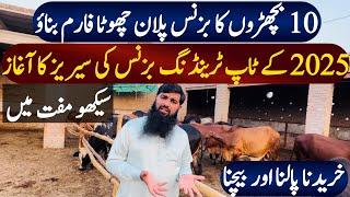 how to start cattle farm in Pakistan 2025