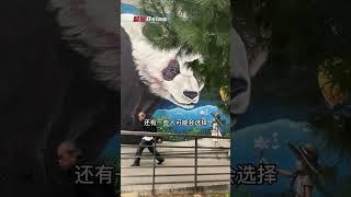 在法国40岁能否躺平？法国的生活方式和福利制度，了解一下！