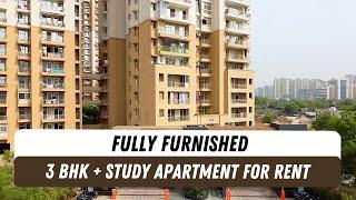 Flats for rent in Noida Extension | Fully Furnished | Greater Noida West