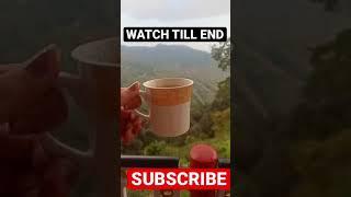 Famous Masala Chai In Shimla | STREET FOOD HIMACHAL PRADESH | Hills Calling | #shorts #chai #hills