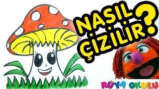 Mantar Nasıl Çizilir? -  - Çocuklar İçin Resim Çizme - RÜYA OKULU